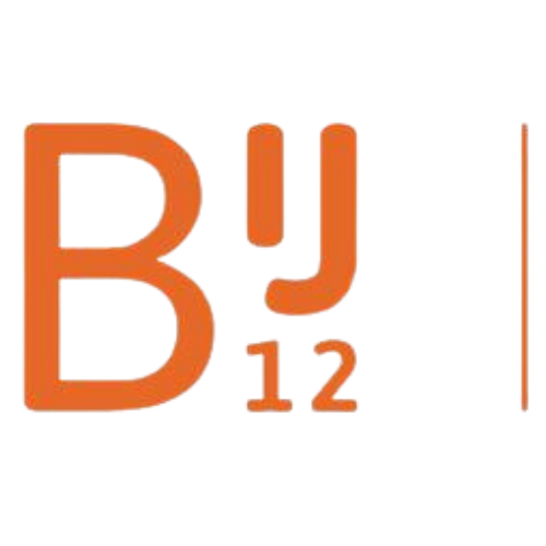 BIJ12